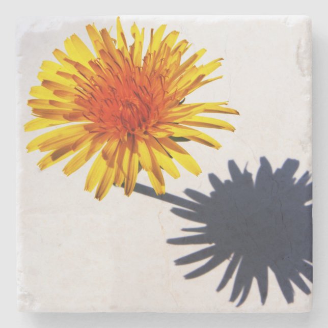 Dandelion and Shadow coasterm Stone Coaster (Front)