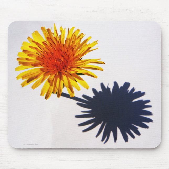 Dandelion and Shadow mpcna Mouse Mat (Front)