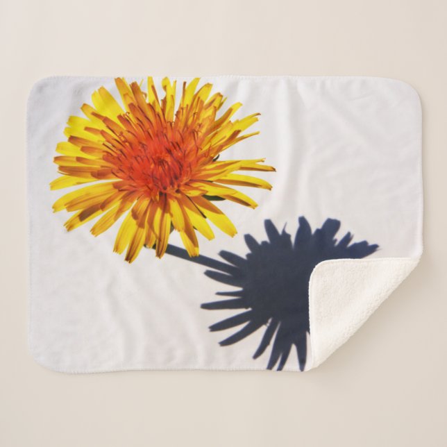 Dandelion and Shadow sbcna Sherpa Blanket (Front (Horizontal))