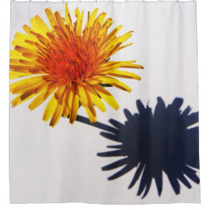 Dandelion and Shadow sccn Shower Curtain