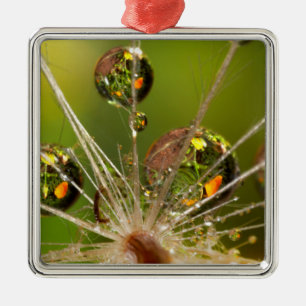 Dandelion And Water Droplets Metal Tree Decoration