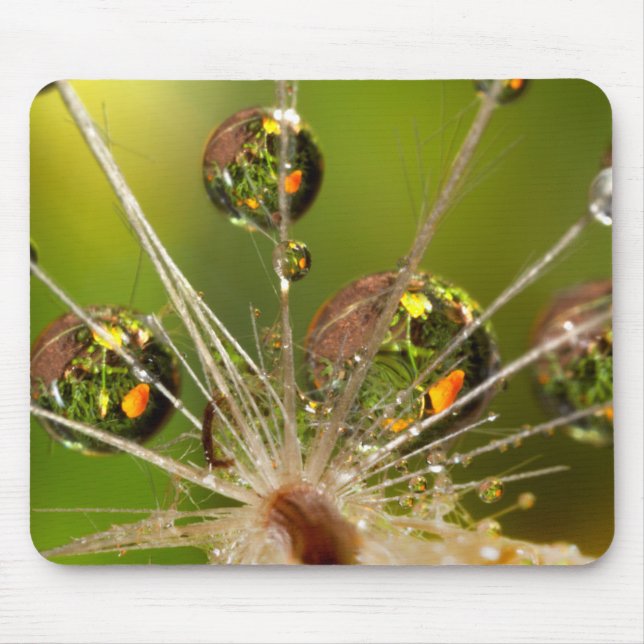 Dandelion And Water Droplets Mouse Mat (Front)