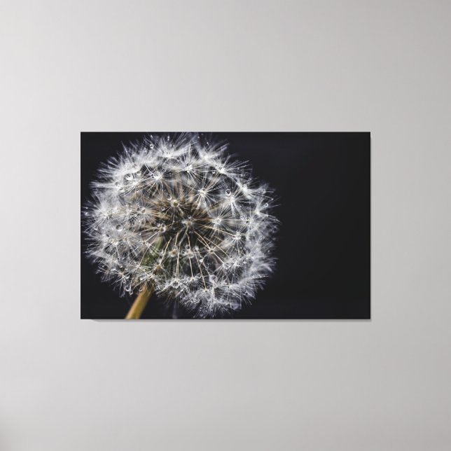 Dandelion Art Print (Front)