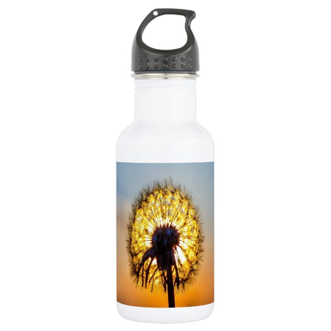 Dandelion at Sunrise 532 Ml Water Bottle (Front)