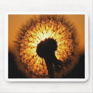 Dandelion at Sunset Mouse Mat