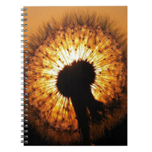 Dandelion at Sunset Notebook