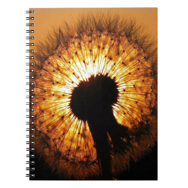 Dandelion at Sunset Notebook (Front)