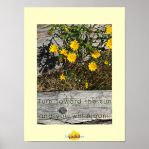Dandelion at the Beach with Quote Poster