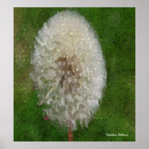 Dandelion Ballerina by Celeste Sheffey Poster