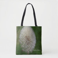 Dandelion Ballerina