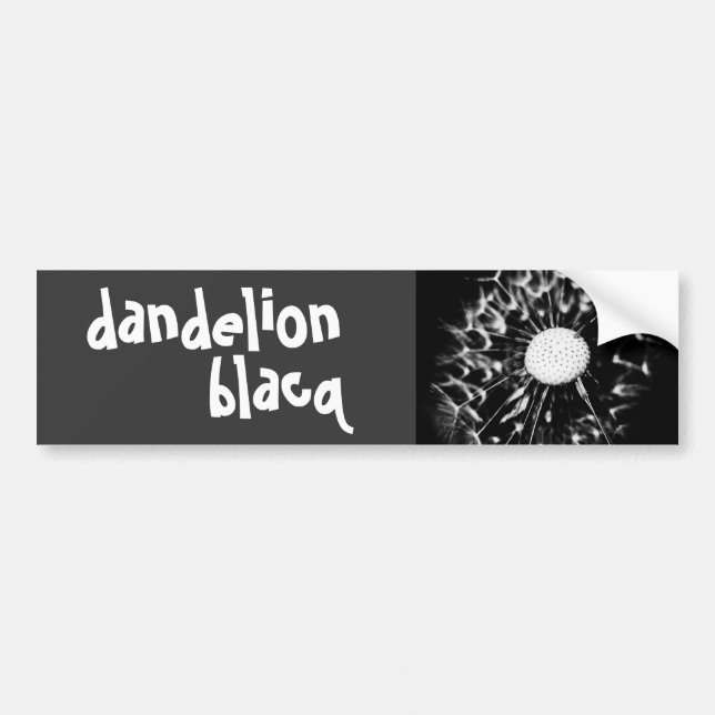 dandelion blacq bumper sticker (Front)