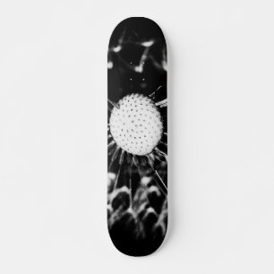 dandelion blacq skateboard