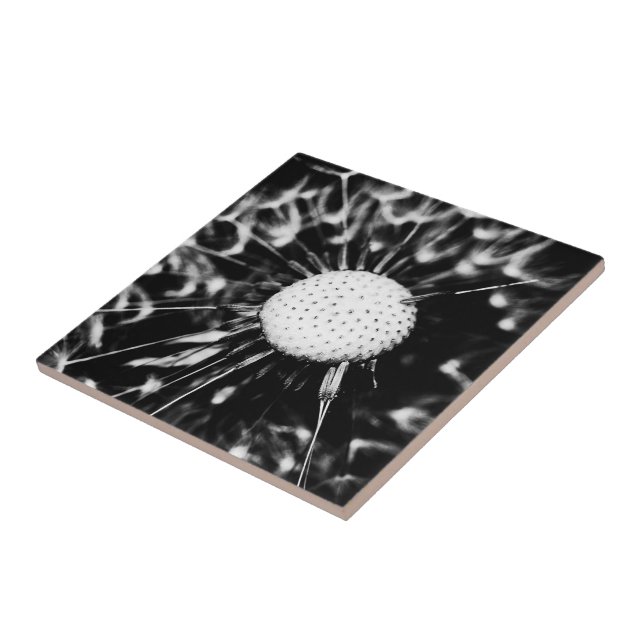 dandelion blacq tile (Side)
