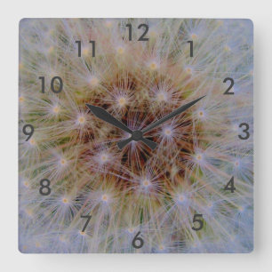 Dandelion Blossom Square Wall Clock