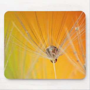 Dandelion Blossoms Flowers Destiny Peace Love Art Mouse Mat