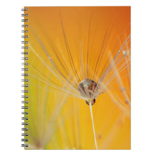 Dandelion Blossoms Flowers Destiny Peace Love Art Notebook