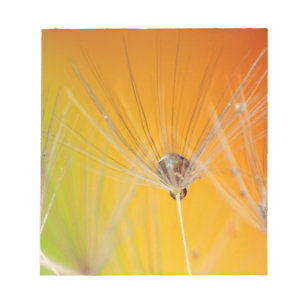 Dandelion Blossoms Flowers Destiny Peace Love Art Notepad