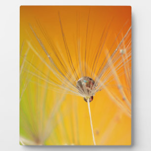 Dandelion Blossoms Flowers Destiny Peace Love Art Plaque