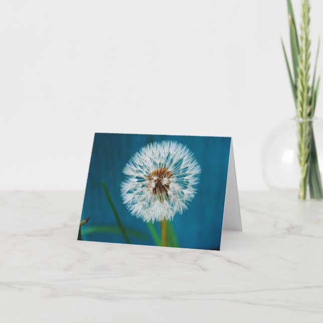 Dandelion Blue Card (Front)