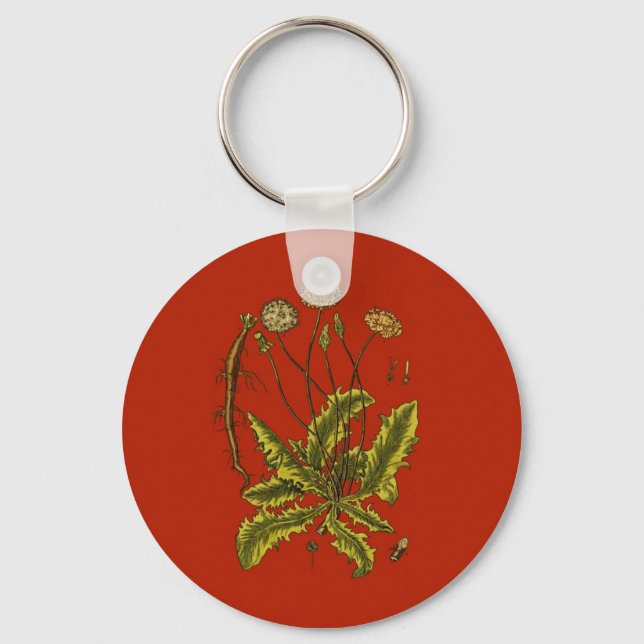 Dandelion Botanical Illustration Key Ring (Front)