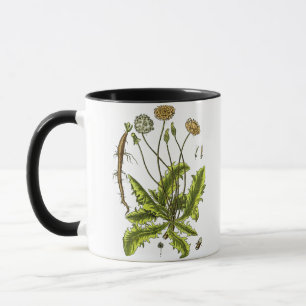 Dandelion Botanical Illustration Mug