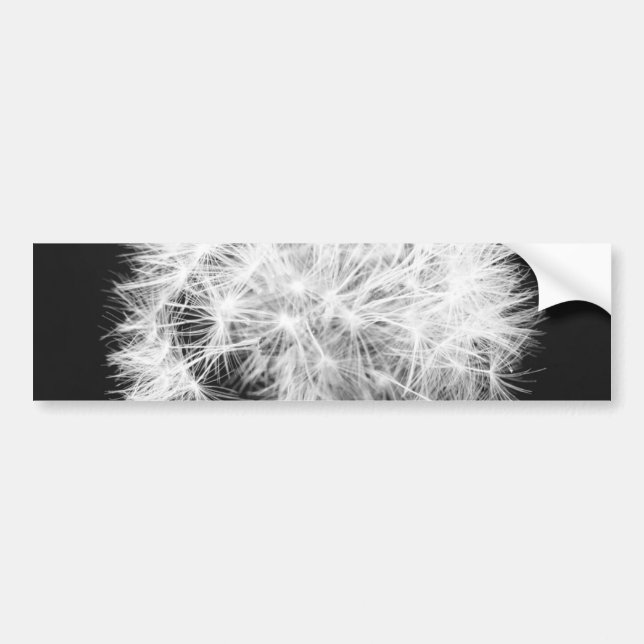 Dandelion Bumper Sticker (Front)