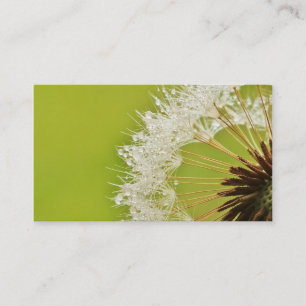 Dandelion business cards