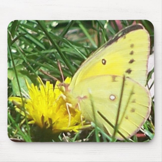 Dandelion Butterfly Mouse Mat (Front)