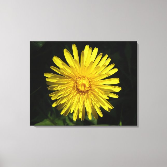 Dandelion Canvas Print (Front)