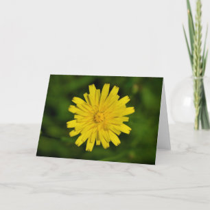 Dandelion, card