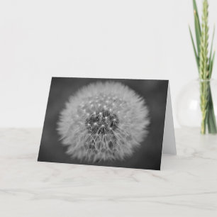 Dandelion, card