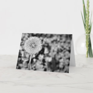 Dandelion Card