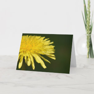 Dandelion, card