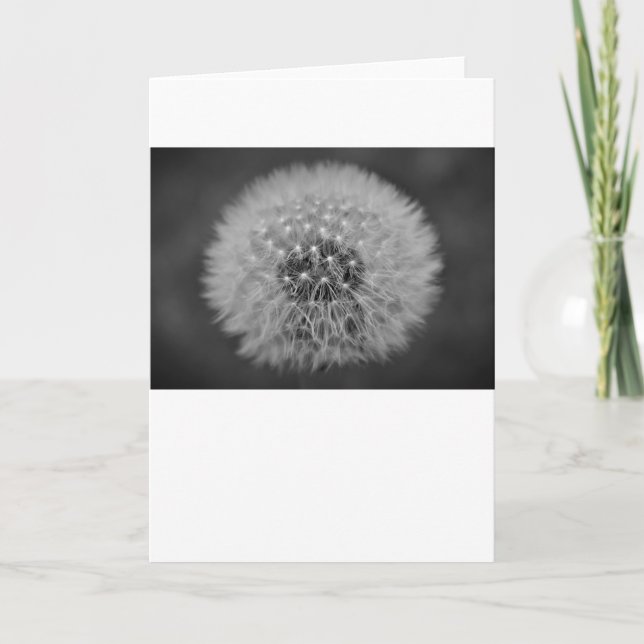Dandelion, card (Front)