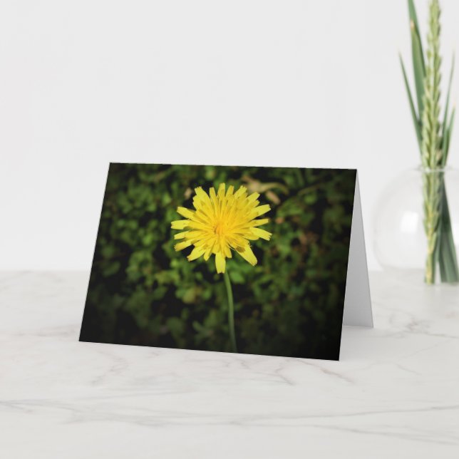 Dandelion, card (Front)