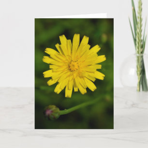 Dandelion, card