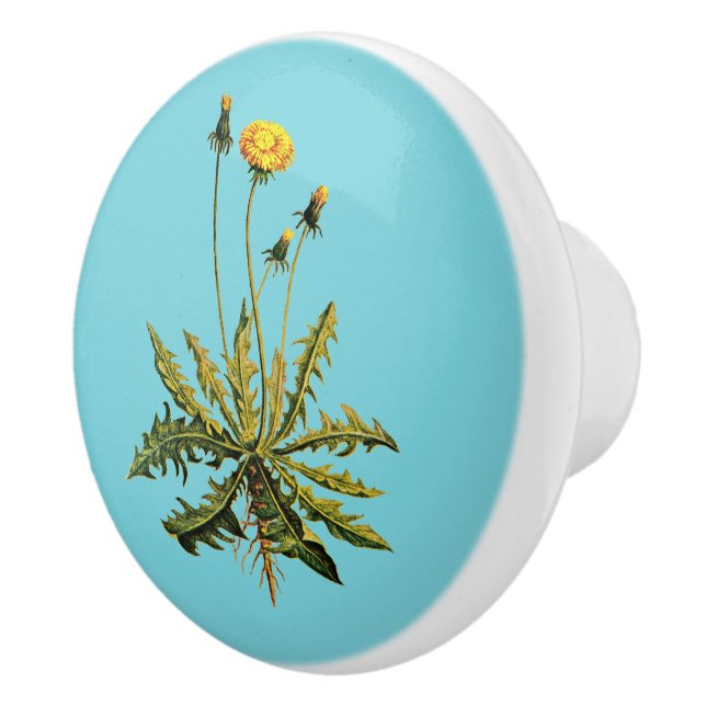 Dandelion Ceramic Knob (Right)
