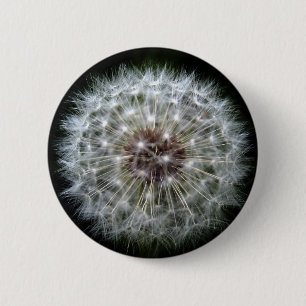 Dandelion Clock badge/button 6 Cm Round Badge