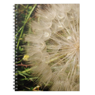 Dandelion Clock Close-Up Notebook