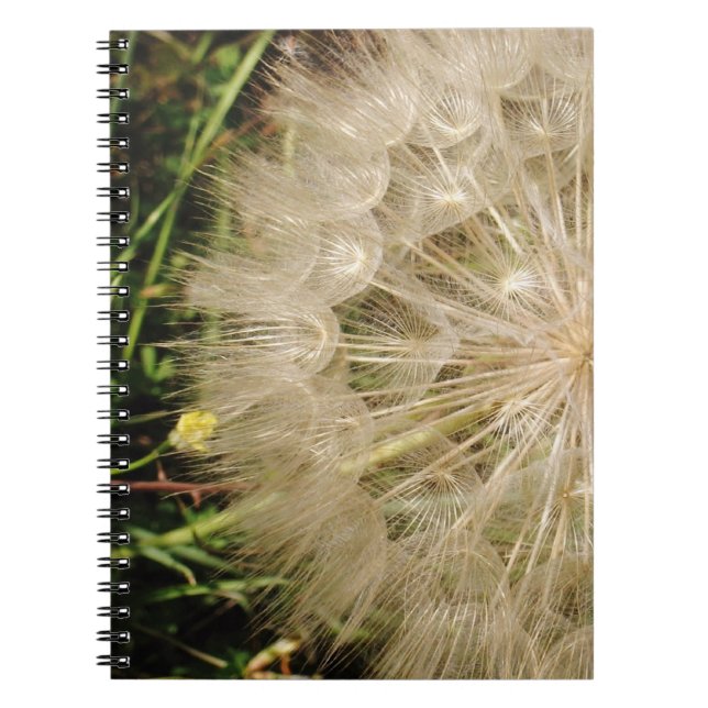Dandelion Clock Close-Up Notebook (Front)