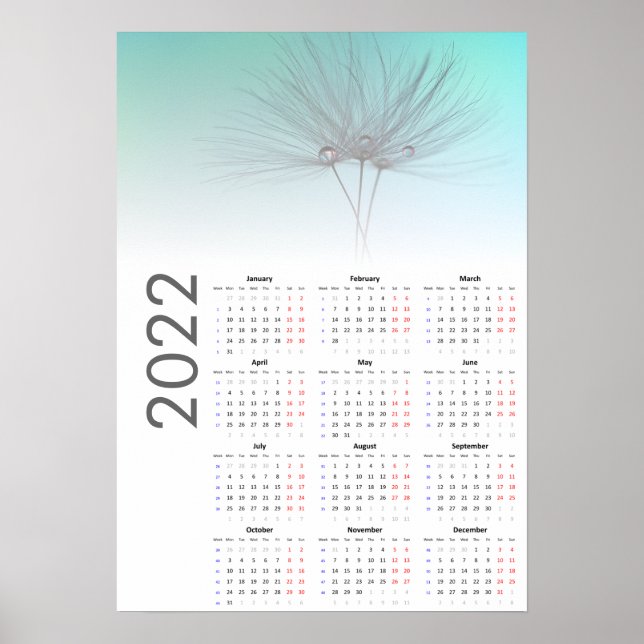 Dandelion clocks Calendar 2022 Poster (Front)