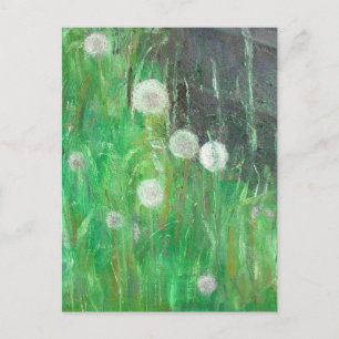 Dandelion Clocks in Grass 2008 oil on canvas Postcard
