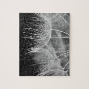Dandelion Closeup in Black White Jigsaw Puzzle