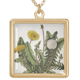 Dandelion (colour engraving) gold plated necklace