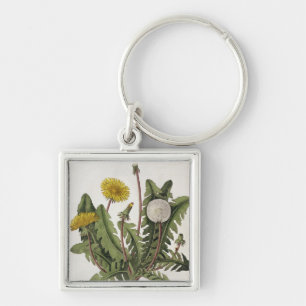 Dandelion (colour engraving) key ring