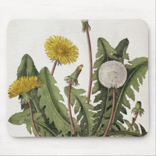 Dandelion (colour engraving) mouse mat