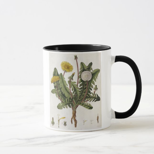 Dandelion (colour engraving) mug (Right)