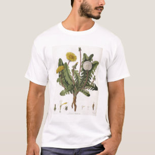 Dandelion (colour engraving) T-Shirt