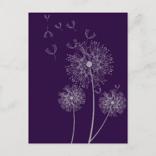 Dandelion colour modern floral art postcard