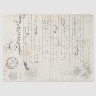 Dandelion Companion Sheet